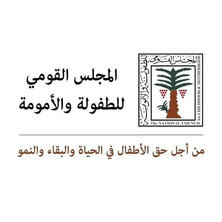 المجلس القومي للطفولة والأمومة يتحرك سريعًا لإنقاذ رضيع من اعتداء ويوصي بتسليمه لعمته