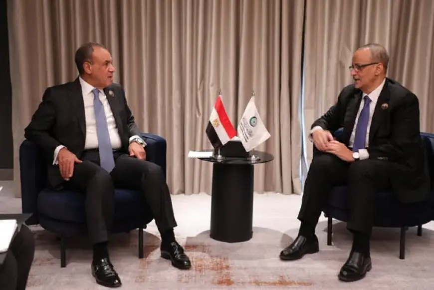 وزير الخارجية يجتمع مع الأمين العام لمنظمة التعاون الإسلامي في لقاء رفيع المستوى
