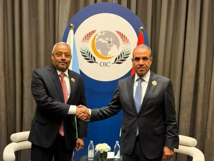 لقاء حاسم بين وزير الخارجية ونظيره الجيبوتي لبحث تعزيز العلاقات الثنائية ومستجدات الساحة الإقليمية