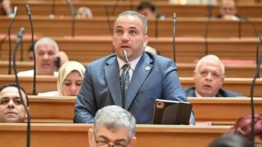اكتشف الملفات الساخنة في منتدى مصر 2026 مع النائب هاني شحاتة