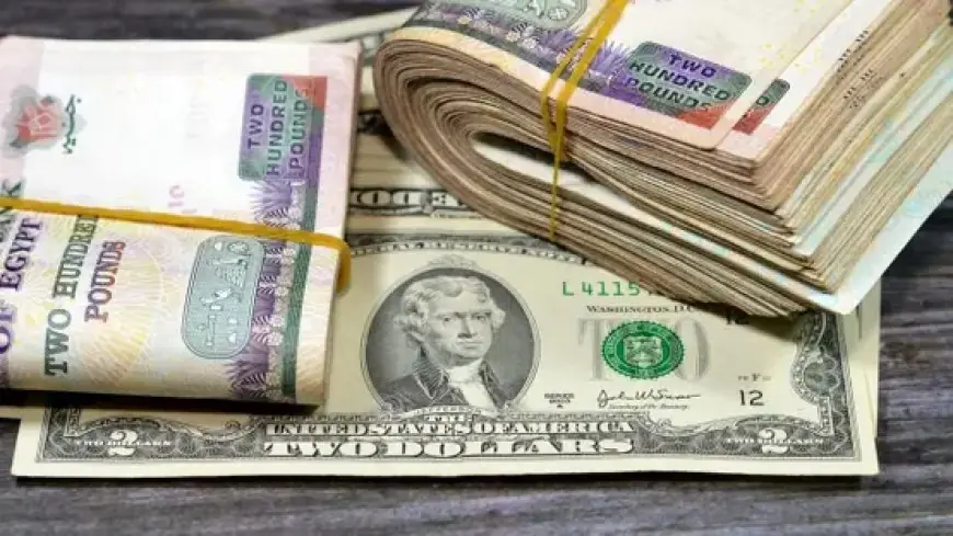 تعرف على سعر الدولار اليوم الأربعاء 21 أكتوبر 2026 في البنوك مع نهاية التعاملات