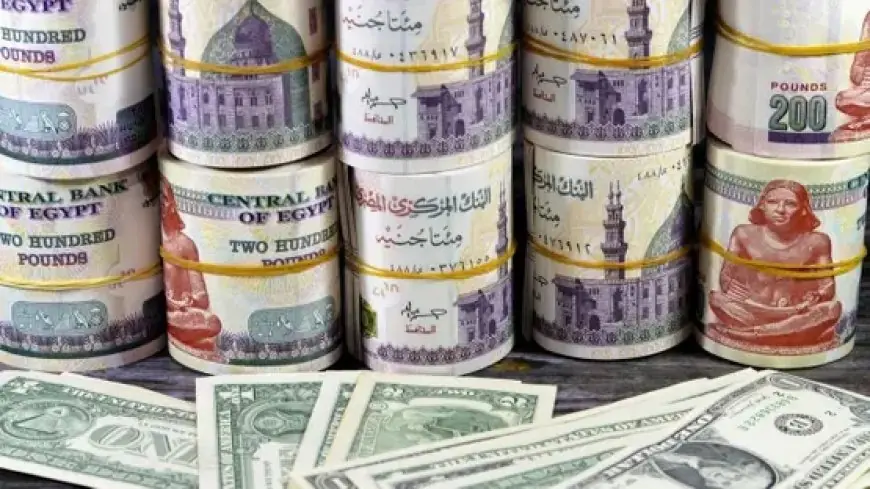 ارتفاع سعر الدولار أمام الجنيه بأكثر من 92 قرشًا في ختام التعاملات اليوم