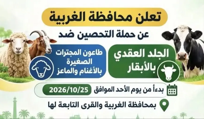 محافظة الغربية تستعد لانطلاق الحملة القومية الثانية لتحصين الماشية ضد الأمراض الوبائية غدًا الأحد