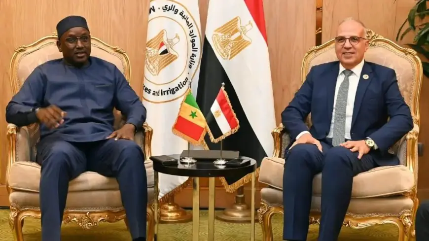 وزير الري يعلن عن شراكة مصرية سنغالية لتعزيز الأمن المائي والتنمية المستدامة في أفريقيا