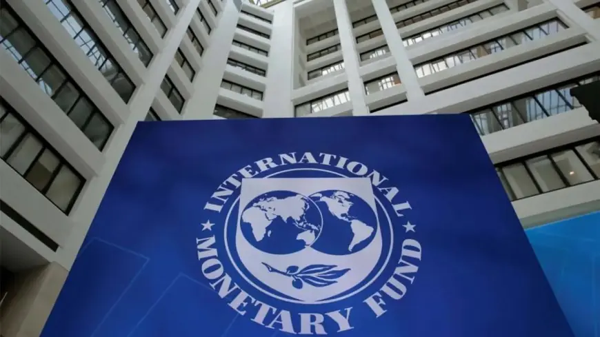 توقعات صندوق النقد الدولي: نمو الاقتصاد المصري يصل إلى 4.8%