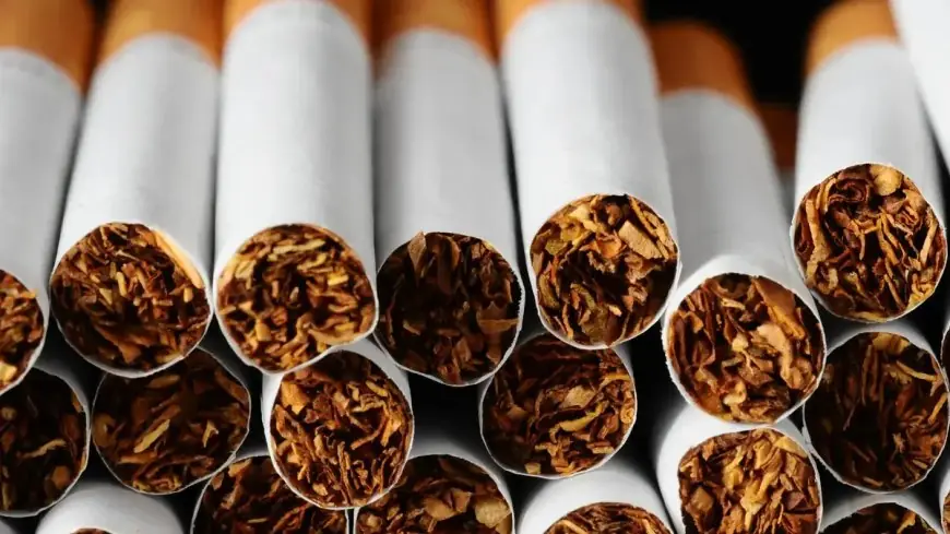 تعرف على أسعار السجائر في السوق اليوم 26 أكتوبر 2026 بعد الزيادة الأخيرة