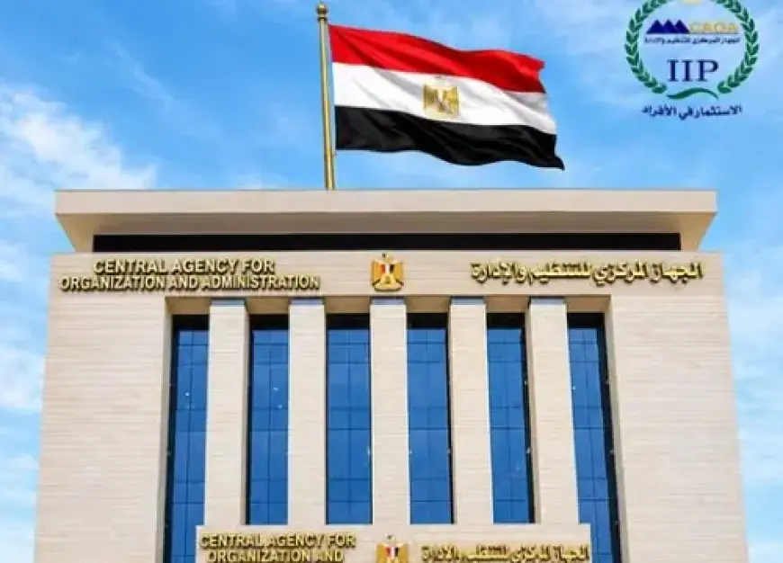 نقل 1799 موظفا إلى جهات منتدبين إليها بقرار من التنظيم والإدارة