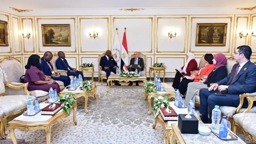 وزير الري يعقد اجتماعا حاسما مع وزير الطاقة والهيدروليكا الكونغولي لتعزيز التعاون في الموارد المائية