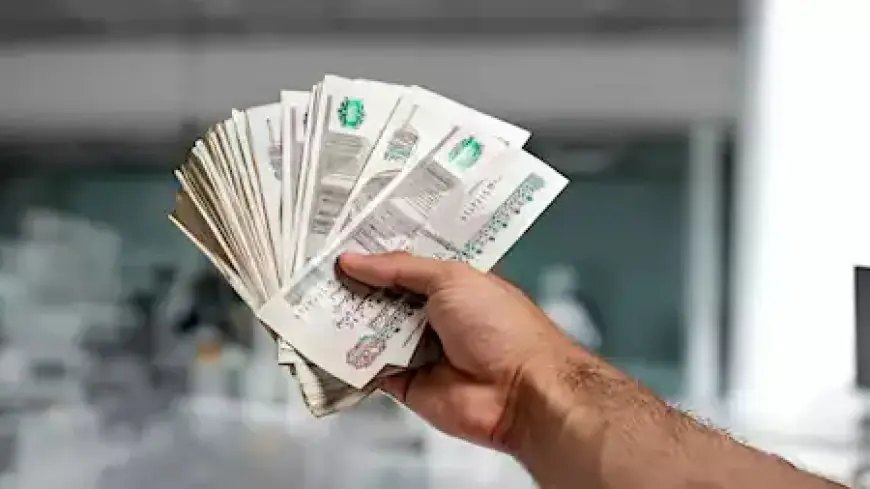 تعرف على عائد أعلى شهادات الادخار في مصر بعد زيادة سعر الفائدة