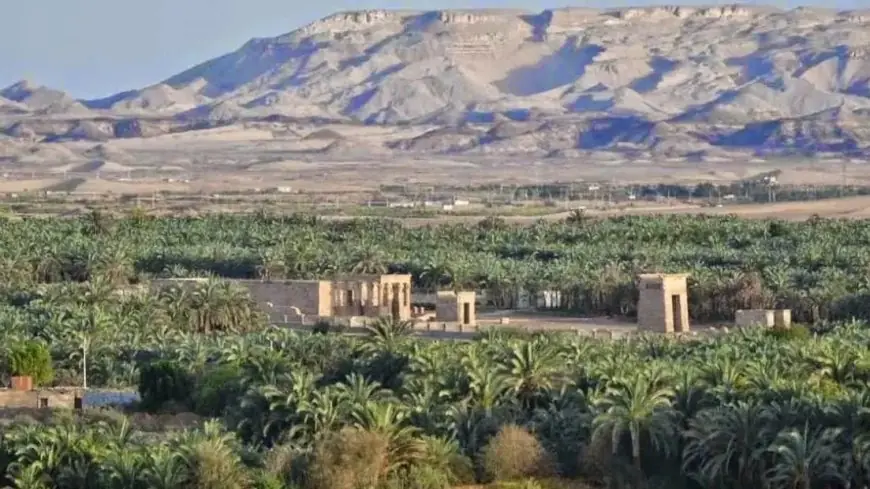 تنمية صناعة التمور وخلق فرص عمل بالوادي الجديد من خلال مشروعات تطويرية