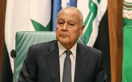 إسرائيل تسعى لإضعاف العرب بدعوات زائفة لتجمعات بديلة – تصريحات أحمد أبو الغيط